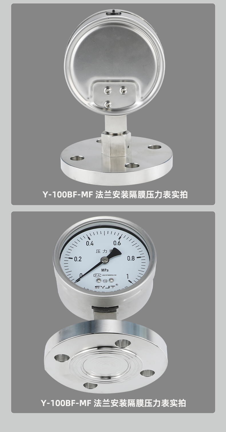 Y-100BF-MF-法兰安装隔膜压力表_07.png