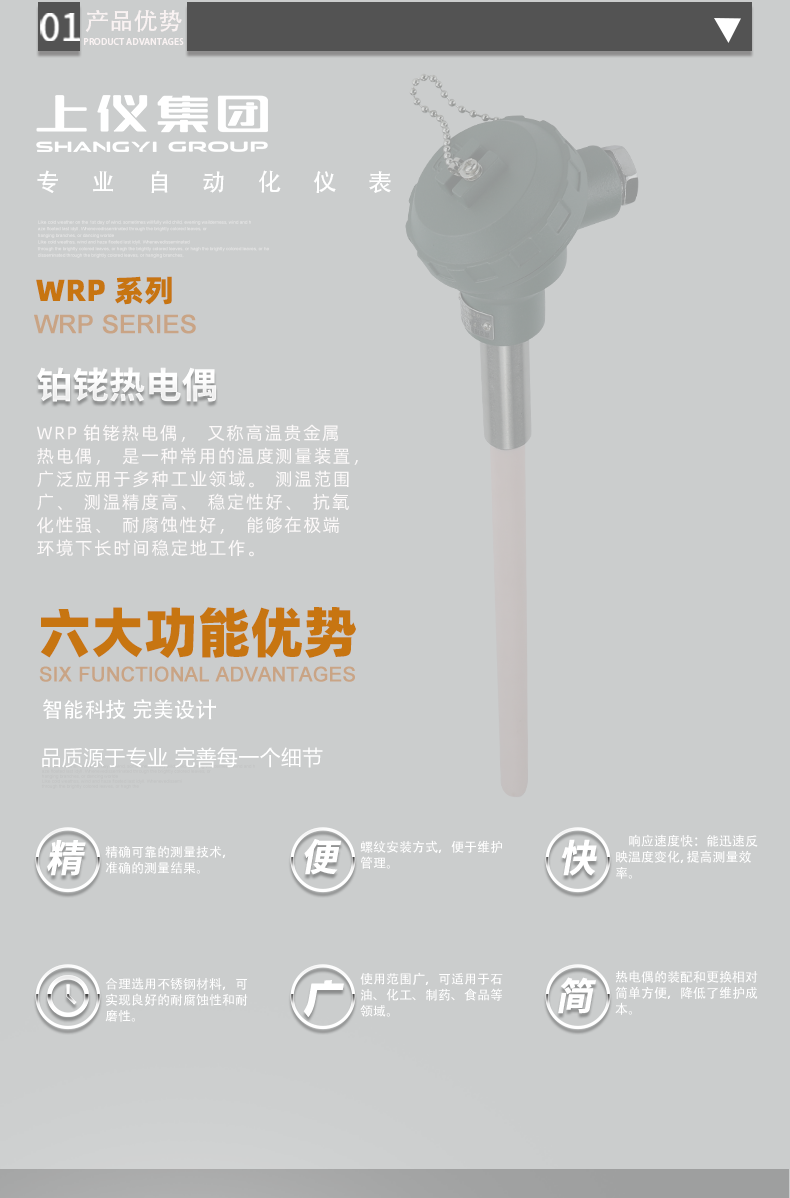 WRP-铂铑热电偶_04.png